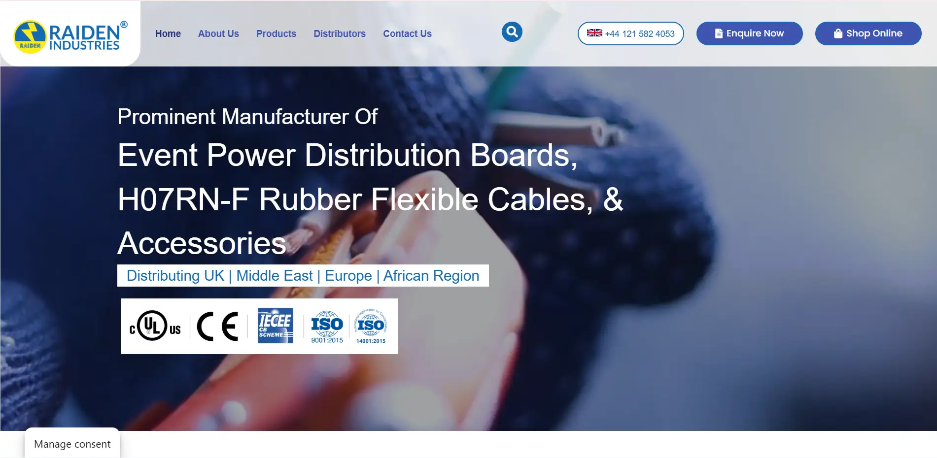 Raiden Industries website preview